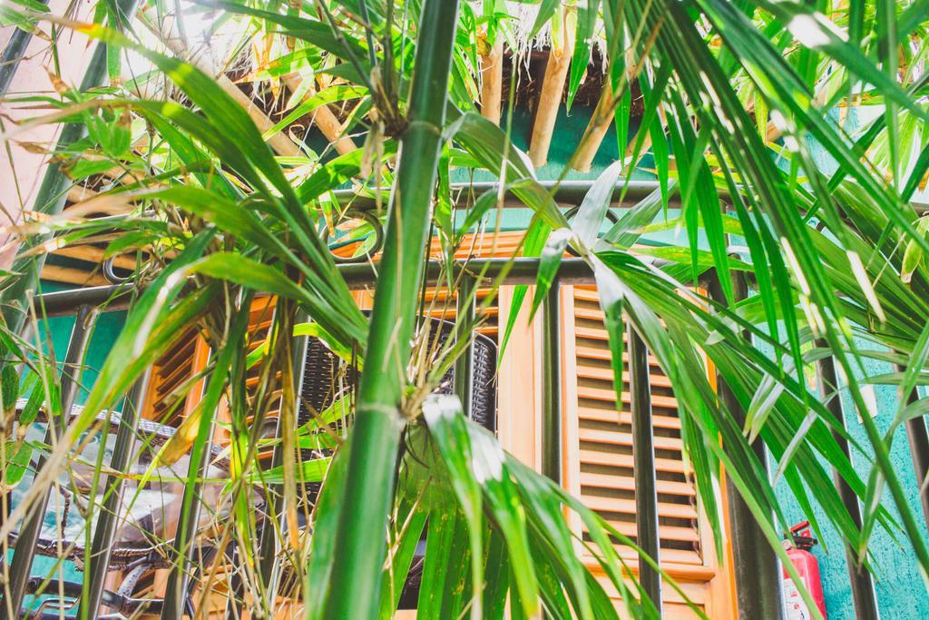 Cocos Cabanas Playa Del Carmen Adults Only Bagian luar foto