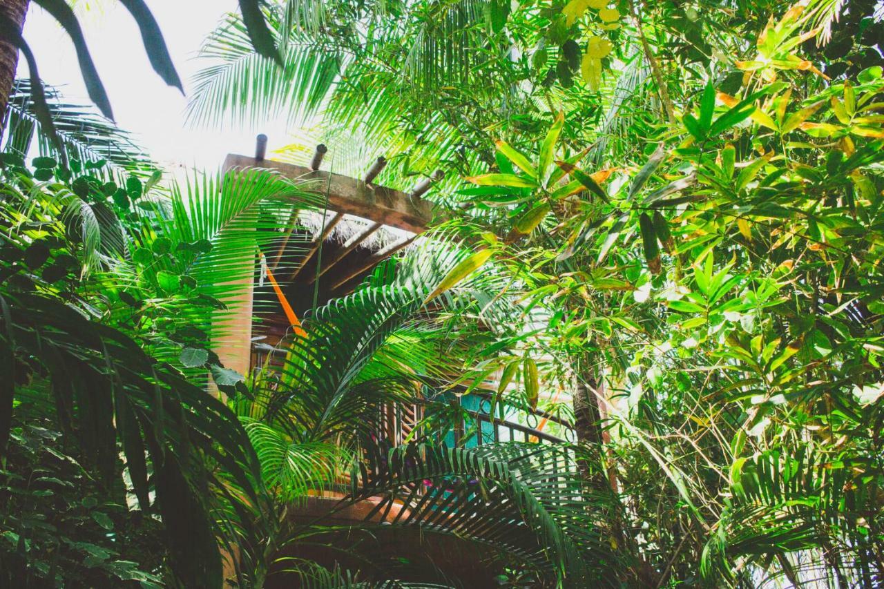 Cocos Cabanas Playa Del Carmen Adults Only Bagian luar foto